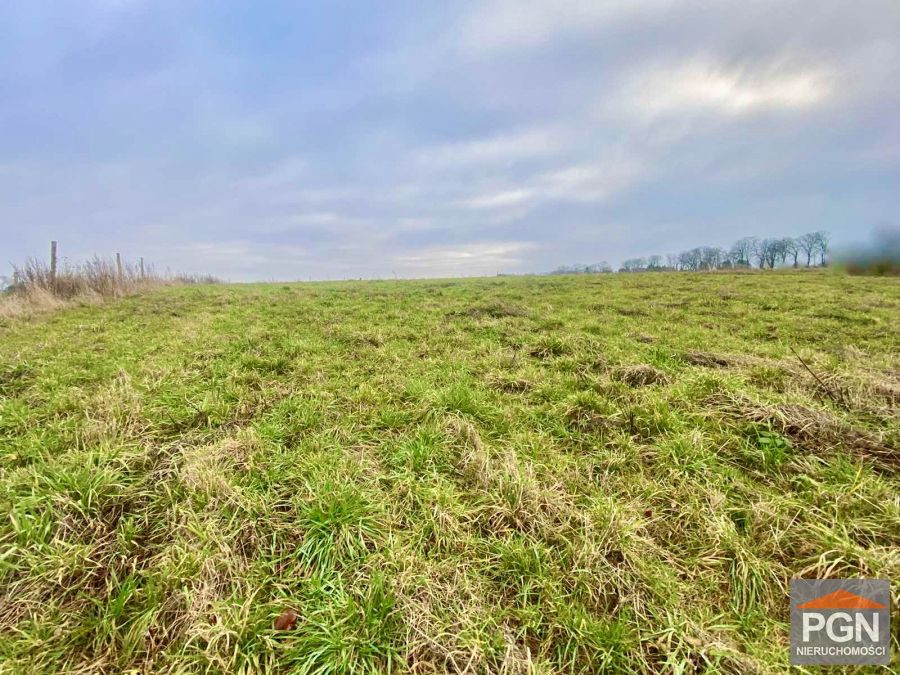 Działka 1333 m² , Blisko Miasta - Widok 2