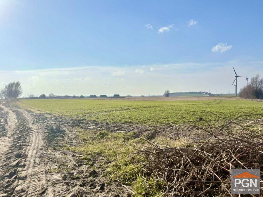 5 Km od Pogorzelicy, Działka z WZ - Widok 3