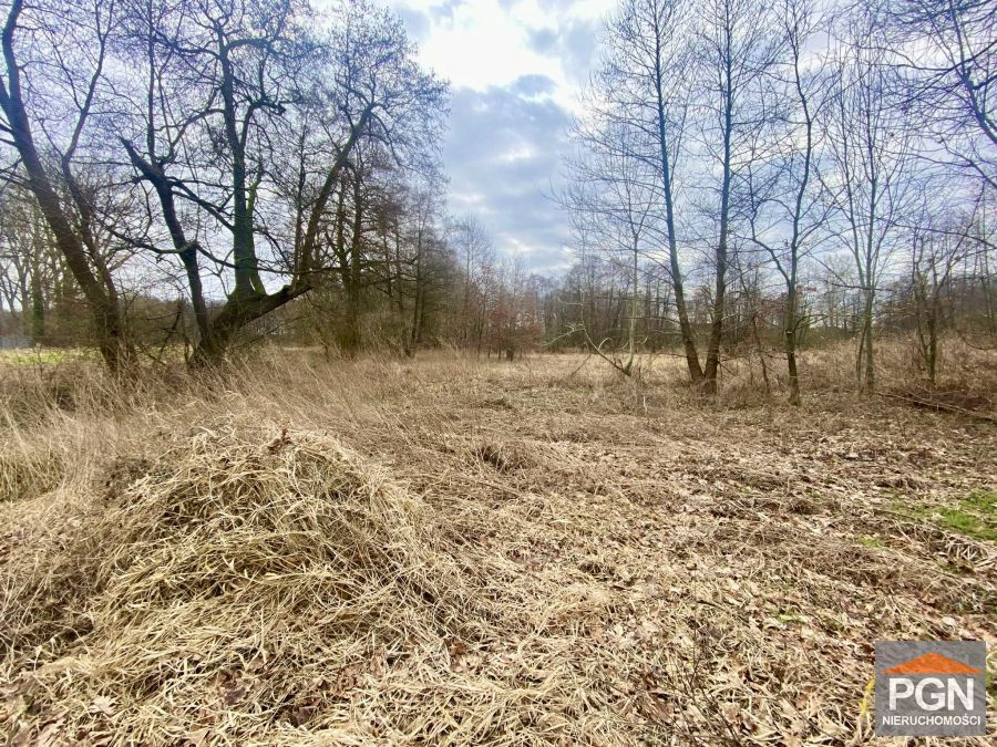 Duża Działka Rolna z Możliwością Przekształcenia, - Widok 3