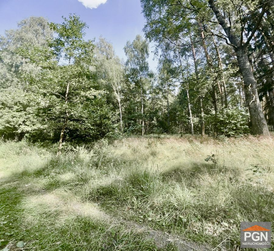 Działka Budowlana 7 kilometrów drogi do Pobierowa - Widok 3