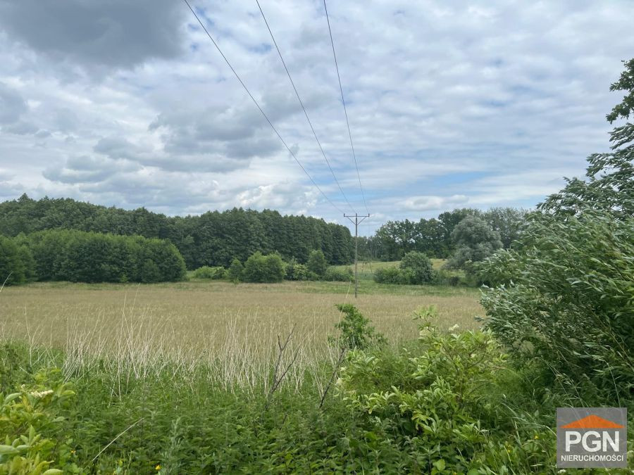 Działka rolna w Ościęcinie - Więcej