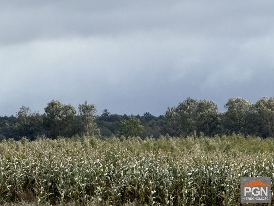 Działka Rolno-Budowlana z Warunkami Zabudowy, 15 k - Widok 5