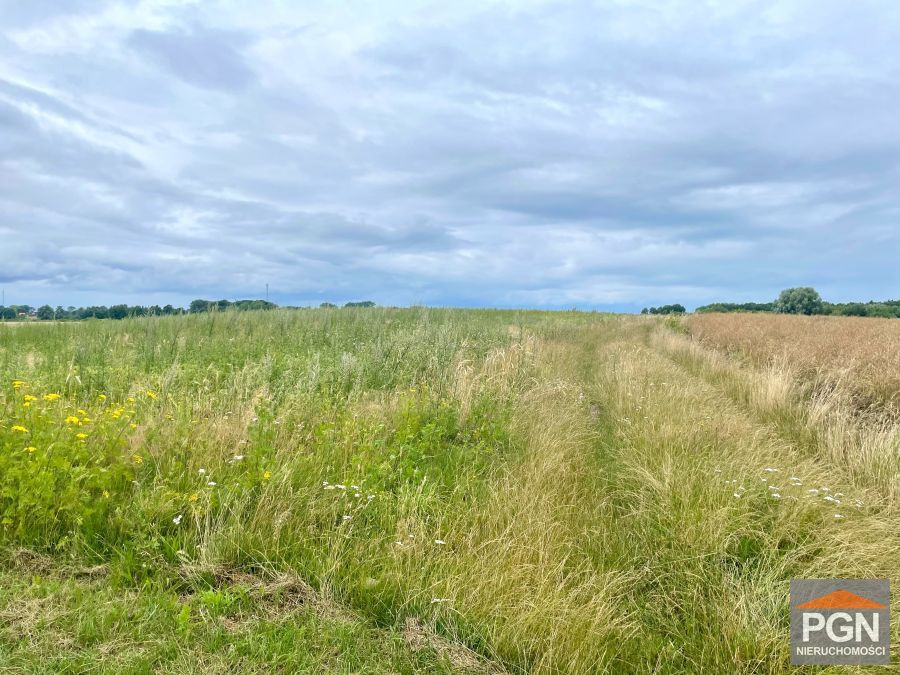 Działka z Wydanymi Warunkami Zabudowy. Gosław., Ok - Widok 3