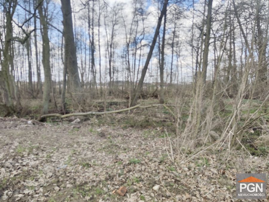 Działka okolica Wolina 260 m od rzeki Dziwnej - Widok 4