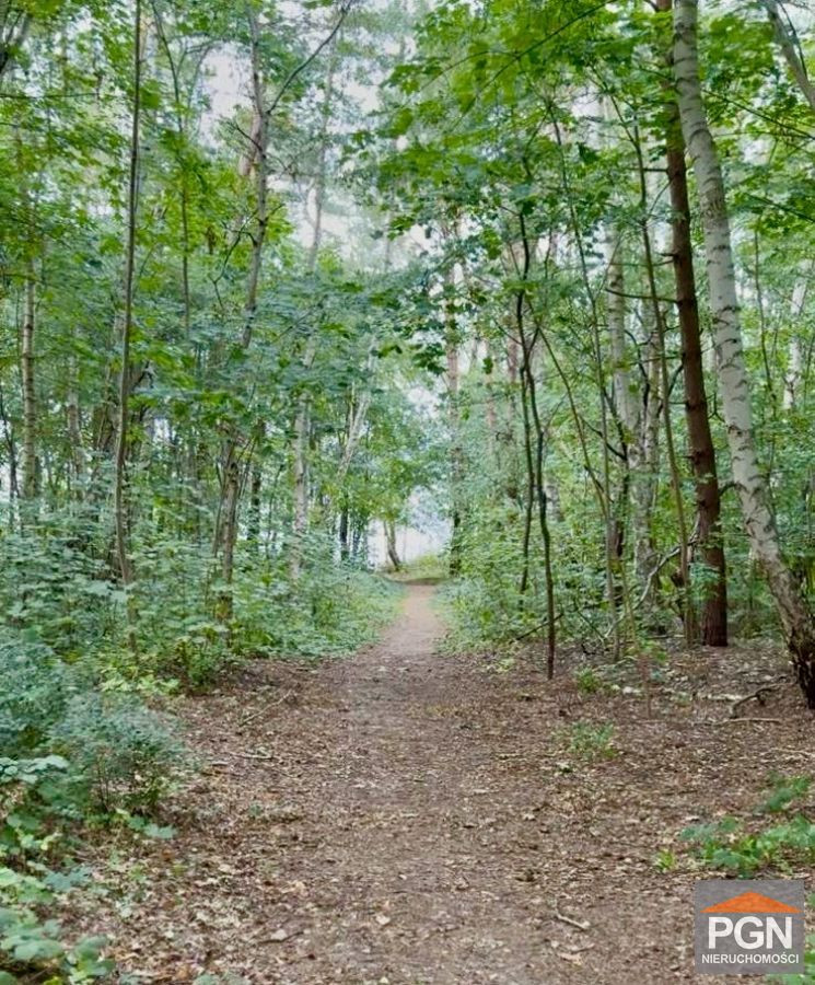 Działka 600 m² w Rewalu – tylko 400 m od morza - Więcej