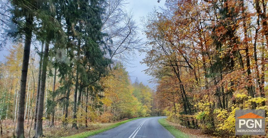 Działka budowlana 1294 m² Gryfice okolica - Więcej