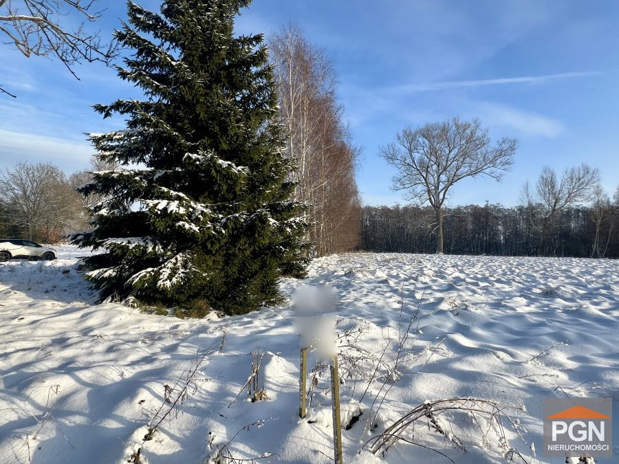 Duża działka z wydanymi Warunkami Zabudowy - Ładzi - Widok 2