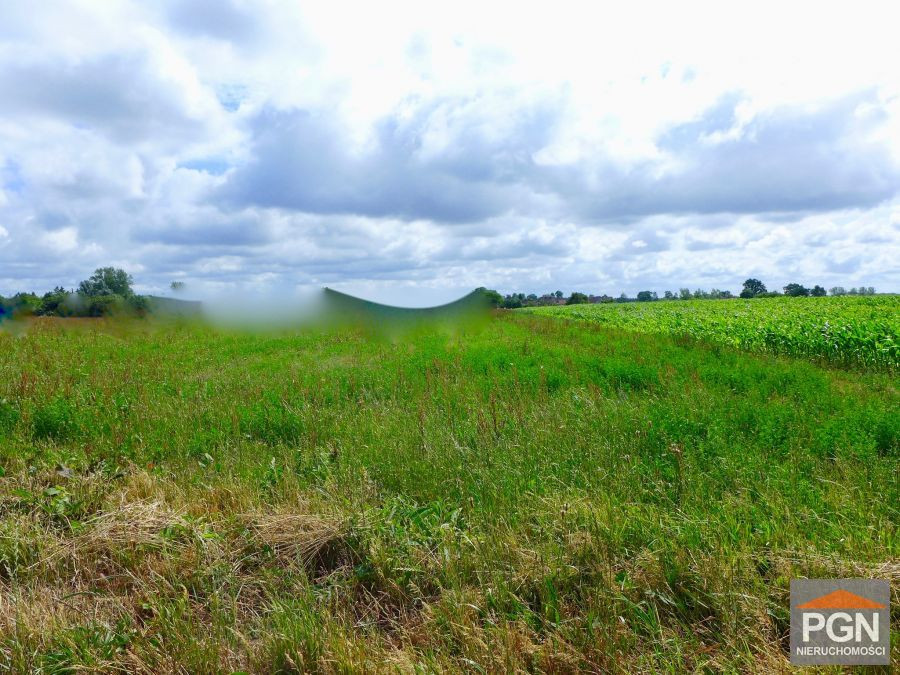 Działka 1710 m², Blisko Miasta - Widok 5