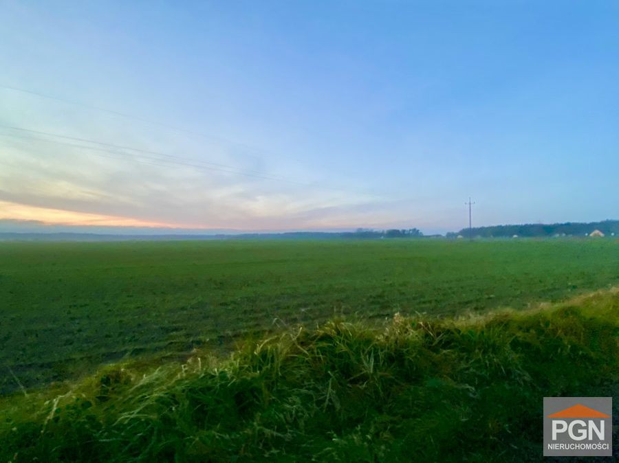 Zielin- Działka Z Warunkami Zabudowy - Widok 4