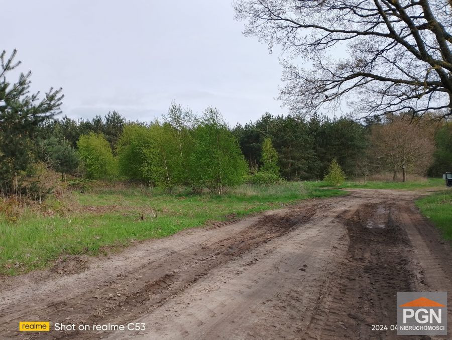Działka o Powierzchni 4490 m² w Spokojnej Okolicy z - Więcej