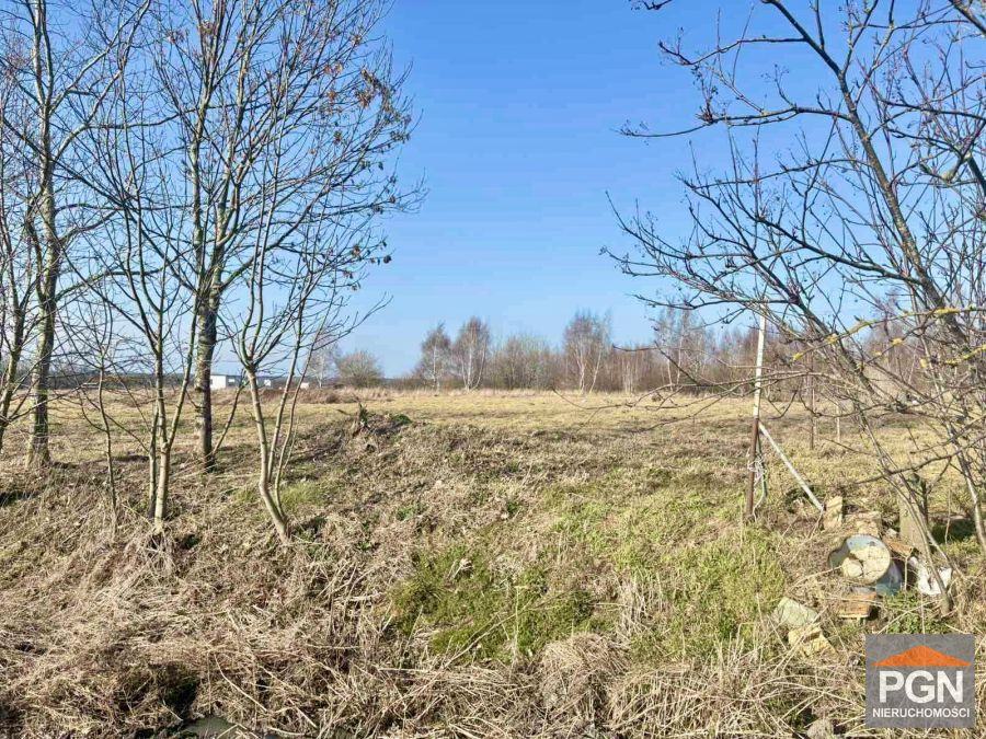 5 Km od Pogorzelicy, Działka z WZ - Więcej