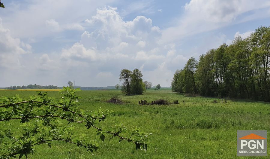 Działka budowlana 1633 m² Gryfice okolica - Widok 5