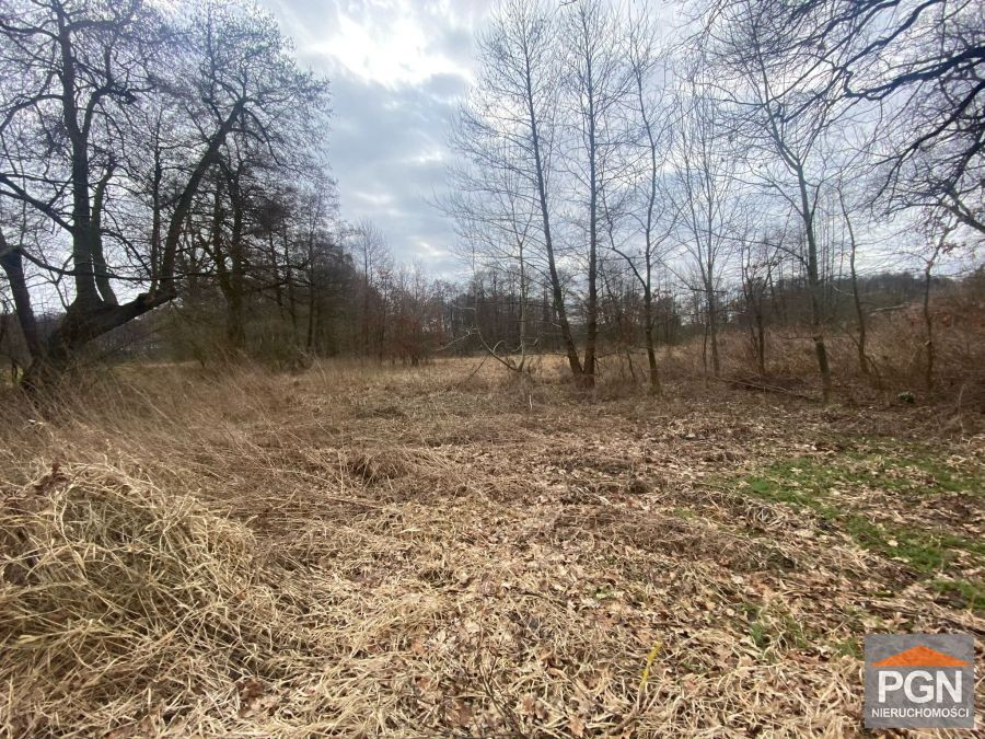 Duża Działka Rolna z Możliwością Przekształcenia, - Widok 2