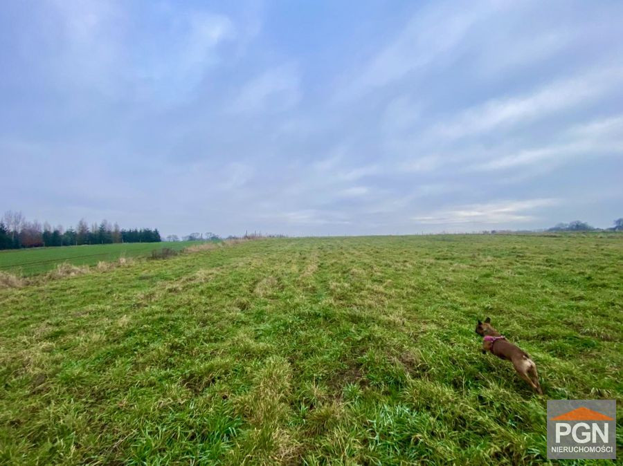 Działka 1326 m² , Blisko Miasta - Widok 3