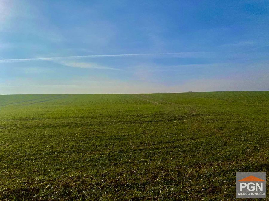 Duża Działka Rolna - Więcej
