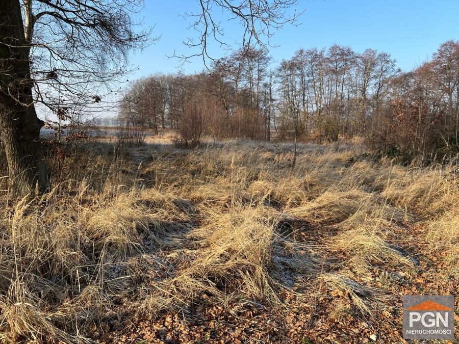 Działka budowlana w Kamieniu Pomorskim , 7 km od D - Widok 3