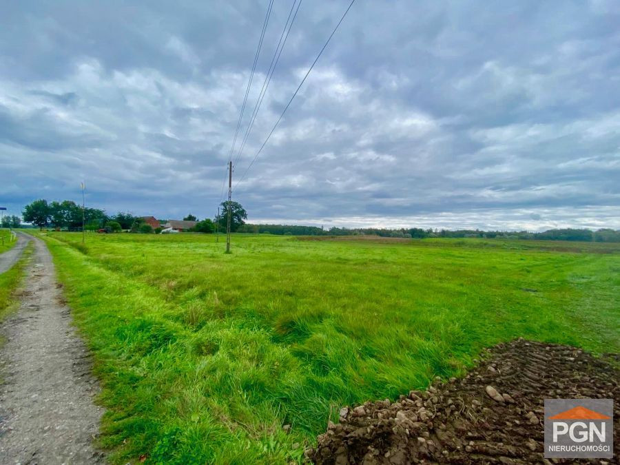 Działka Pod Lasem - Widok 3