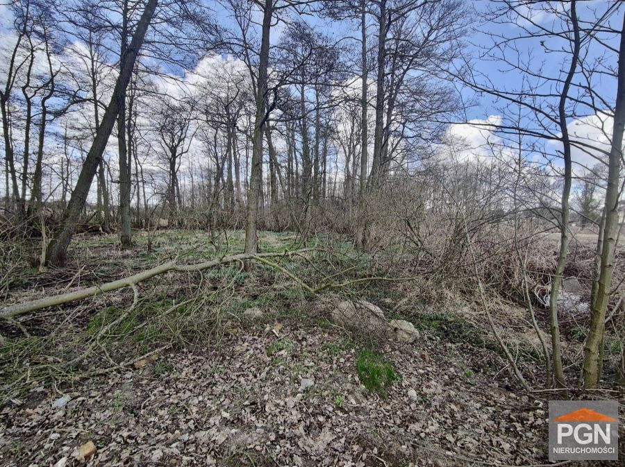 Działka okolica Wolina 260 m od rzeki Dziwnej - Widok 3