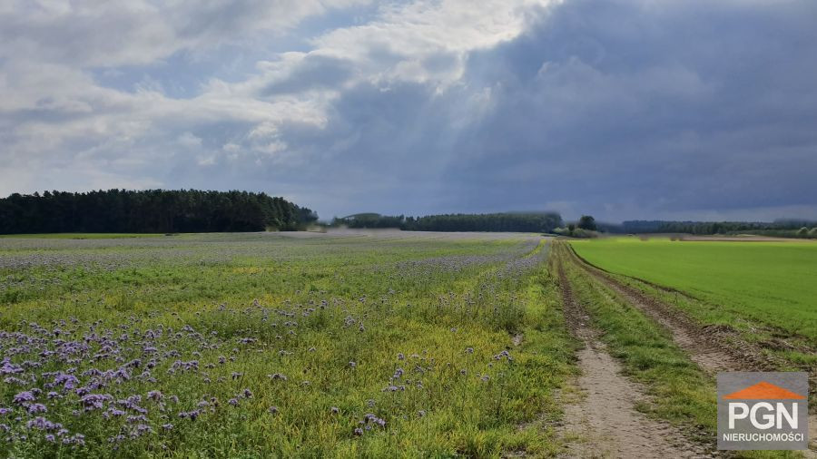Działka budowlana 1294 m² Gryfice okolica - Widok 5