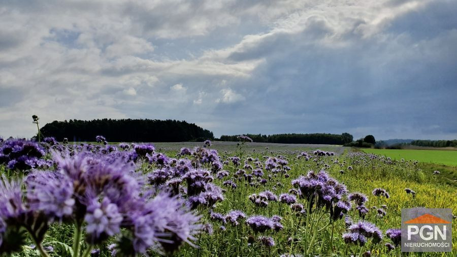 Działka budowlana 1633 m² Gryfice okolica - Widok 2