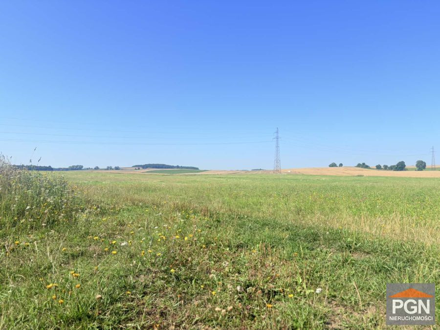 Kompleks Działek Z Warunkami Zabudowy - Widok 5