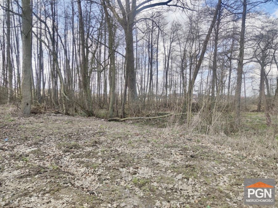 Działka okolica Wolina 260 m od rzeki Dziwnej - Widok 5