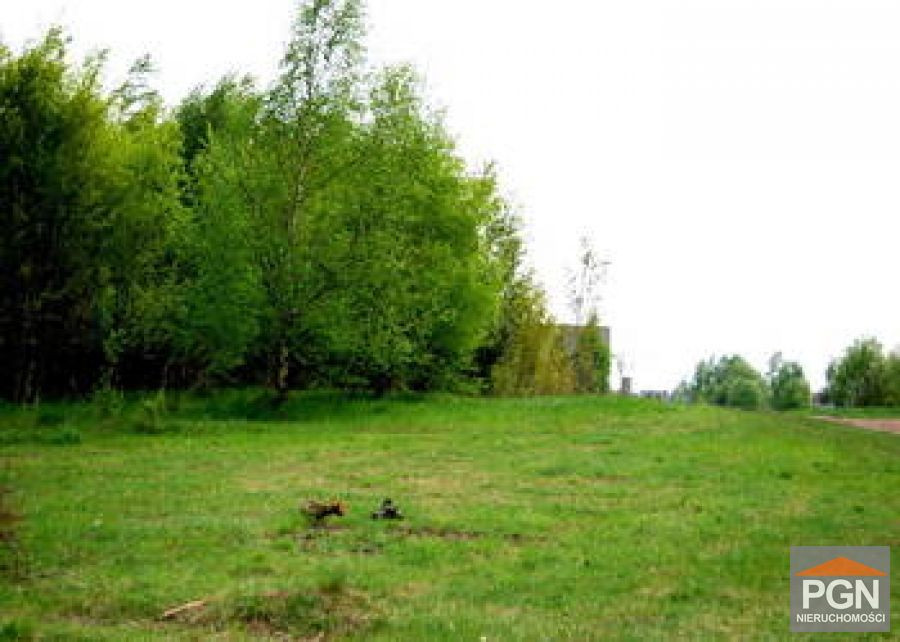 Działka Budowlana, Obrzeża Gryfic - Widok 5