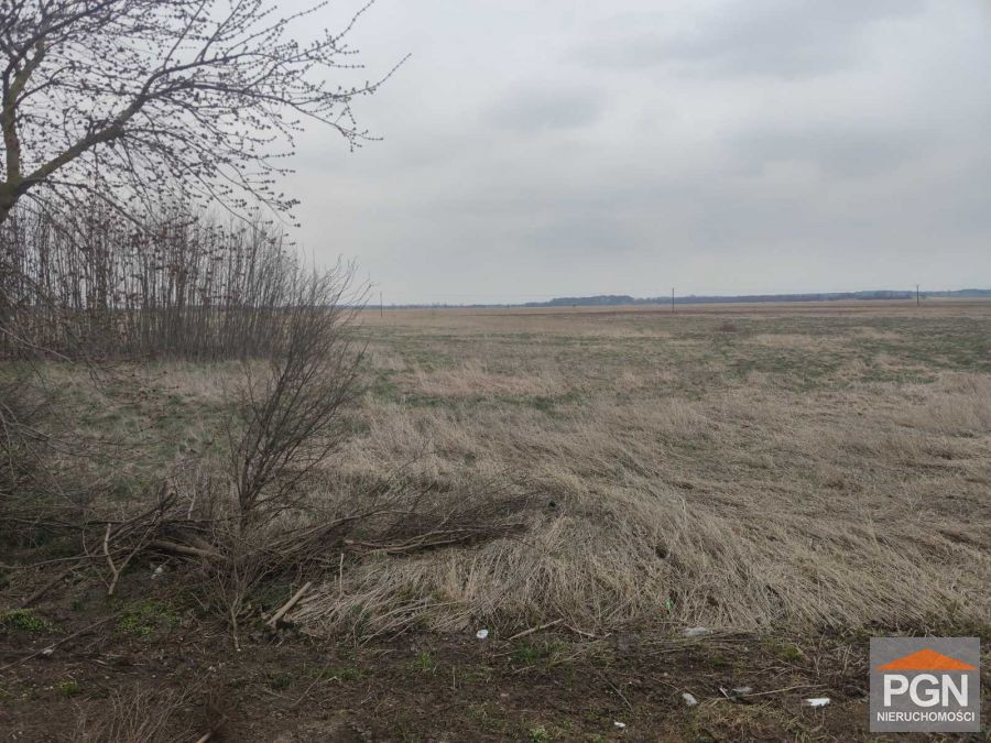 Działka pod zabudowę usługową w Pobierowie - Widok 5