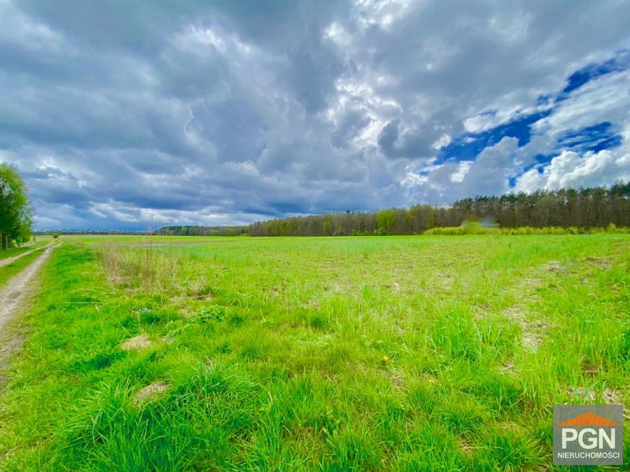 Działka Z Warunkami Zabudowy - Widok 3