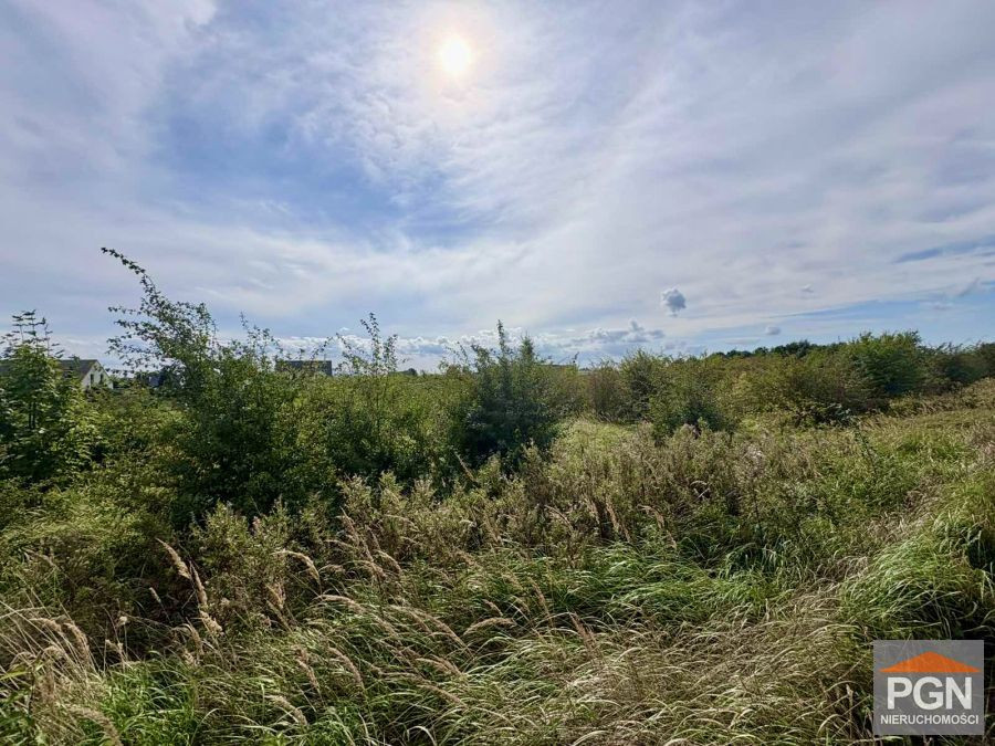 ATRAKCYJNA DZIAŁKA W NIECHORZU – 4 950 m² - Widok 4