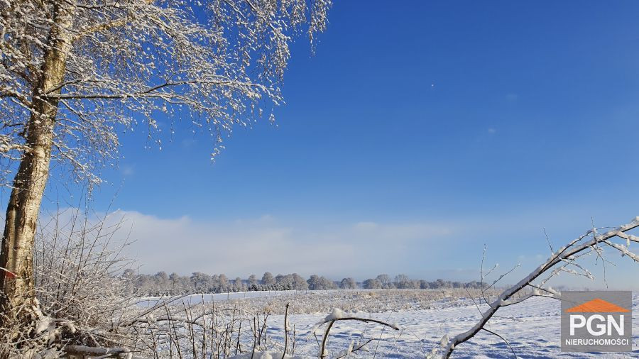 Działka budowlana 1722 m² Gryfice okolica - Widok 2