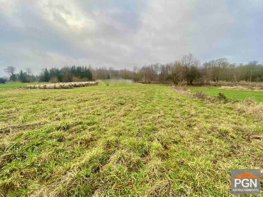 Działka 1326 m² , Blisko Miasta - Widok 2