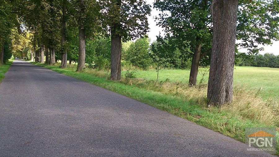 Duża działka Domysłów na sprzedaż - Widok 2