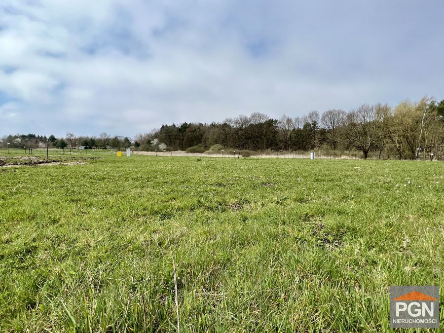 Działka 318 m² - bliskość lasu i morza - Widok 4