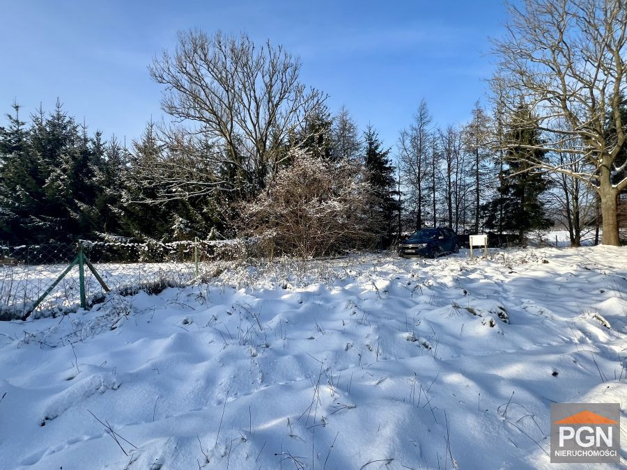 Duża działka z wydanymi Warunkami Zabudowy - Ładzi - Widok 5