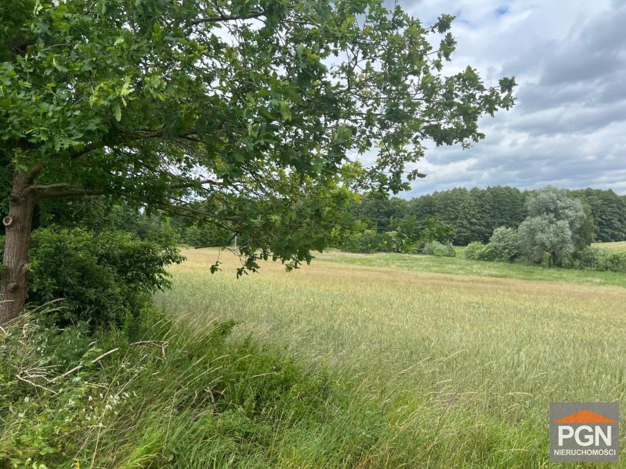 Działka rolna w Ościęcinie - Widok 2