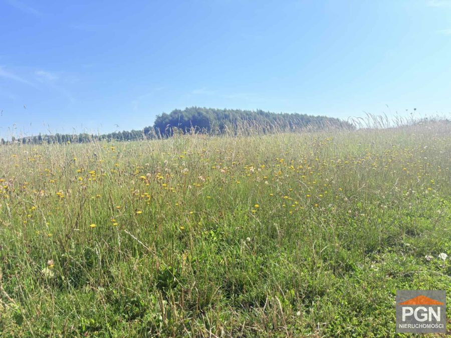 Kompleks Działek Z Warunkami Zabudowy - Widok 3