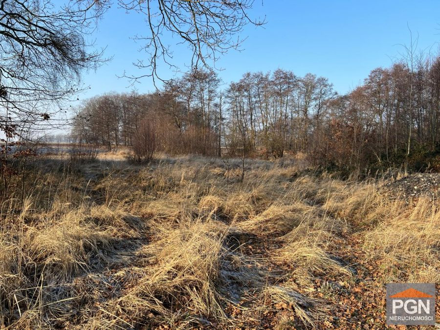 Działka budowlana w Kamieniu Pomorskim , 7 km od D - Widok 2