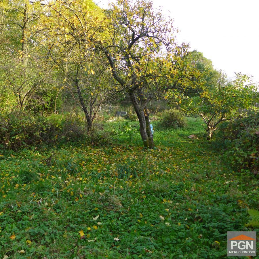 Działka budowlana 1500 m² w Gryficach - Widok 4