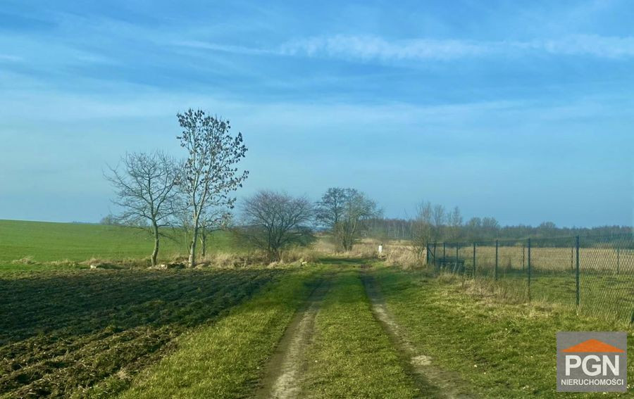 Duża Działka Rolna - Widok 3