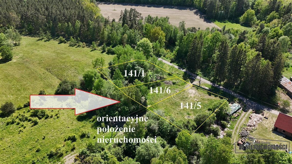 Działka budowlana pod lasem ok. 50 km od morza i M - Widok 4
