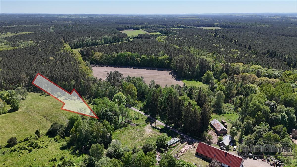 Działka budowlana pod lasem ok. 50 km od morza i M - Widok 2