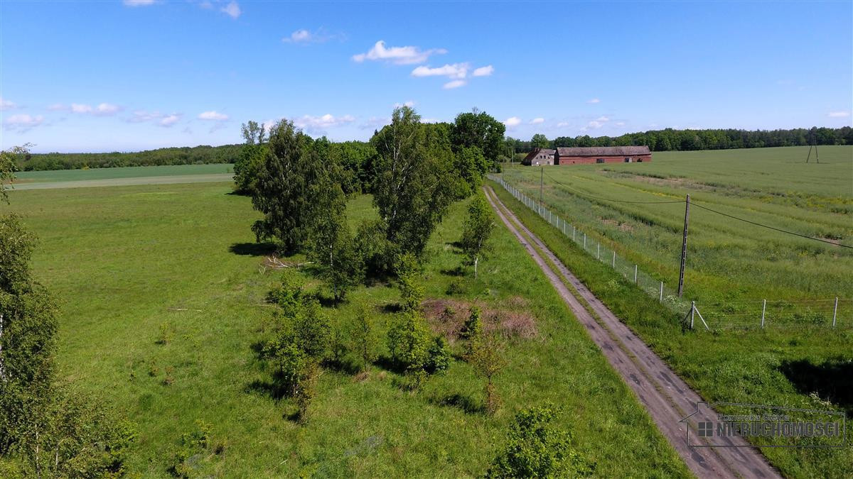 działka na odludziu ok. 35 km od morza i 10 km od - Widok 5
