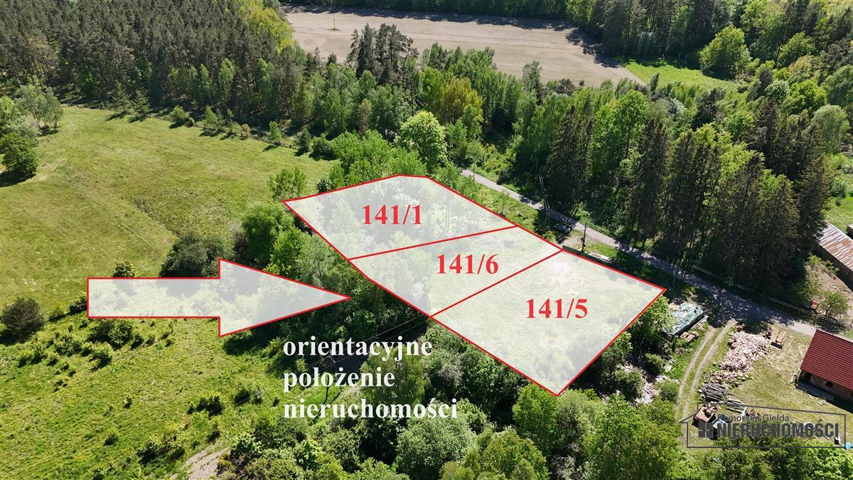 Działka budowlana pod lasem ok. 50 km od morza i M - Widok 3