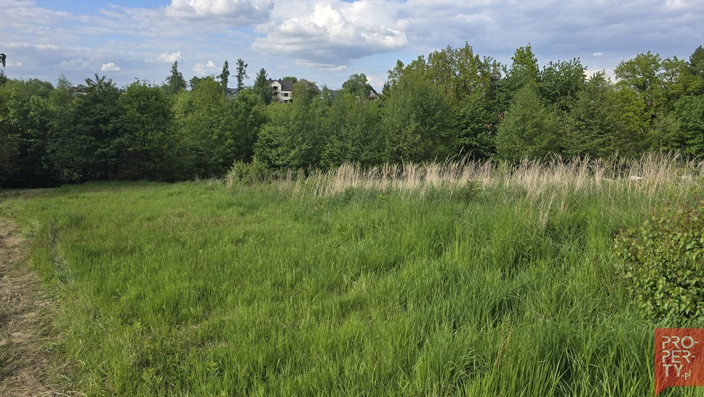 Widokowa działka 2504 m² pod Krakowem - Widok 5