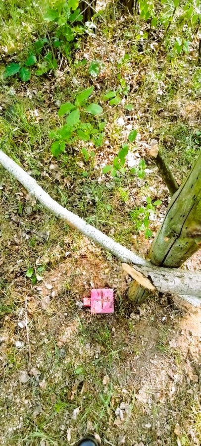 Działka z warunkami zabudowy – Franciszków, gm. Lutomiersk - Widok 3