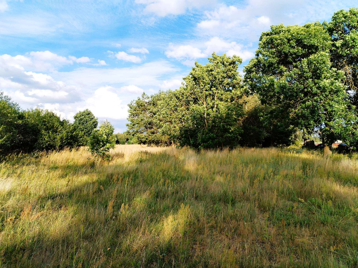 Działka gmina Wodzierady, Hipolitów, MPZP - Widok 5