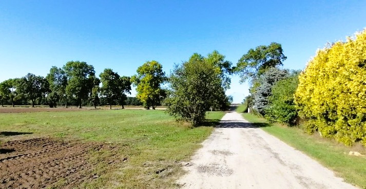 Działka budowlana 2002 m² z MPZP | Wodzierady | Szeroki front 34 m - Widok 5