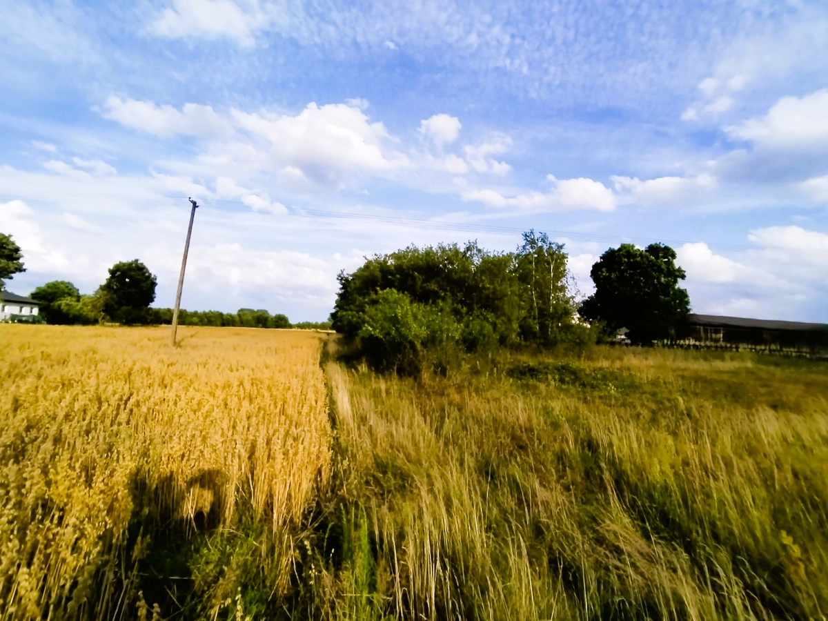 Działka gmina Wodzierady, Hipolitów, MPZP - Widok 4
