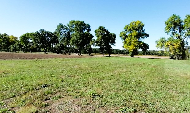 Działka budowlana 2002 m² z MPZP | Wodzierady | Szeroki front 34 m - Widok 4